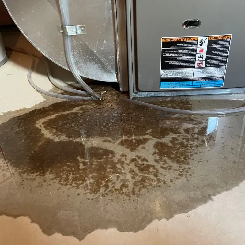 Pipe Burst and Leak Restoration in Sisseton, SD